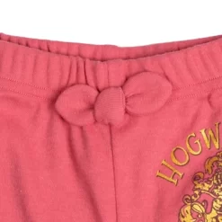 Harry Potter Hedwig Owl Baby Girls 2 Pack Pants Newborn To Toddler 15 Harry Potter Hedwig Owl Baby Girls 2 Pack Pants Newborn To Toddler -Baby Nest Deals Store GUEST 003a64fa 99c6 4e9c 8f0f 158b4a06a569