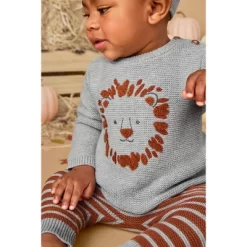 Carter's Just One You®️ Baby Boys' 3pc Lion Sweater & Bottom Set - Gray