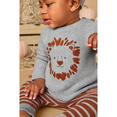 Carter's Just One You®️ Baby Boys' 3pc Lion Sweater & Bottom Set - Gray 1 Carter's Just One You®️ Baby Boys' 3pc Lion Sweater & Bottom Set - Gray