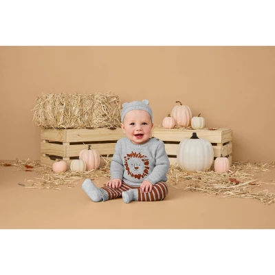 Carter's Just One You®️ Baby Boys' 3pc Lion Sweater & Bottom Set - Gray 2 Carter's Just One You®️ Baby Boys' 3pc Lion Sweater & Bottom Set - Gray - Image 2